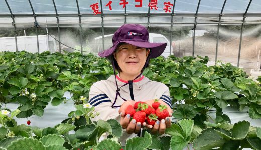 夏イチゴ栽培への挑戦！〜フルーツのまちを夢見る女性農家さんにインタビュー〜