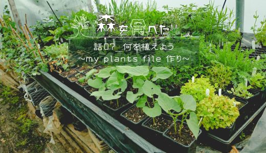 森を食べたい / 何を植えよう〜my plants file作り〜_話07
