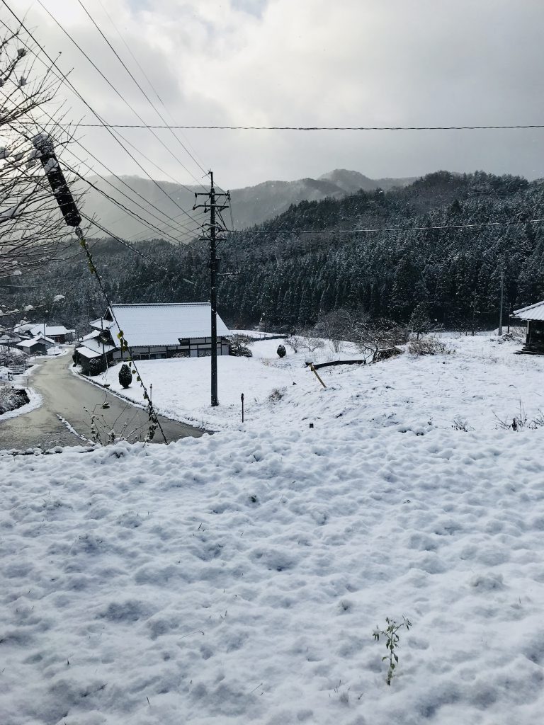 雪の写真