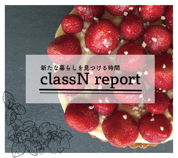 classNvol2_report
