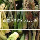 新見山菜パラダイス