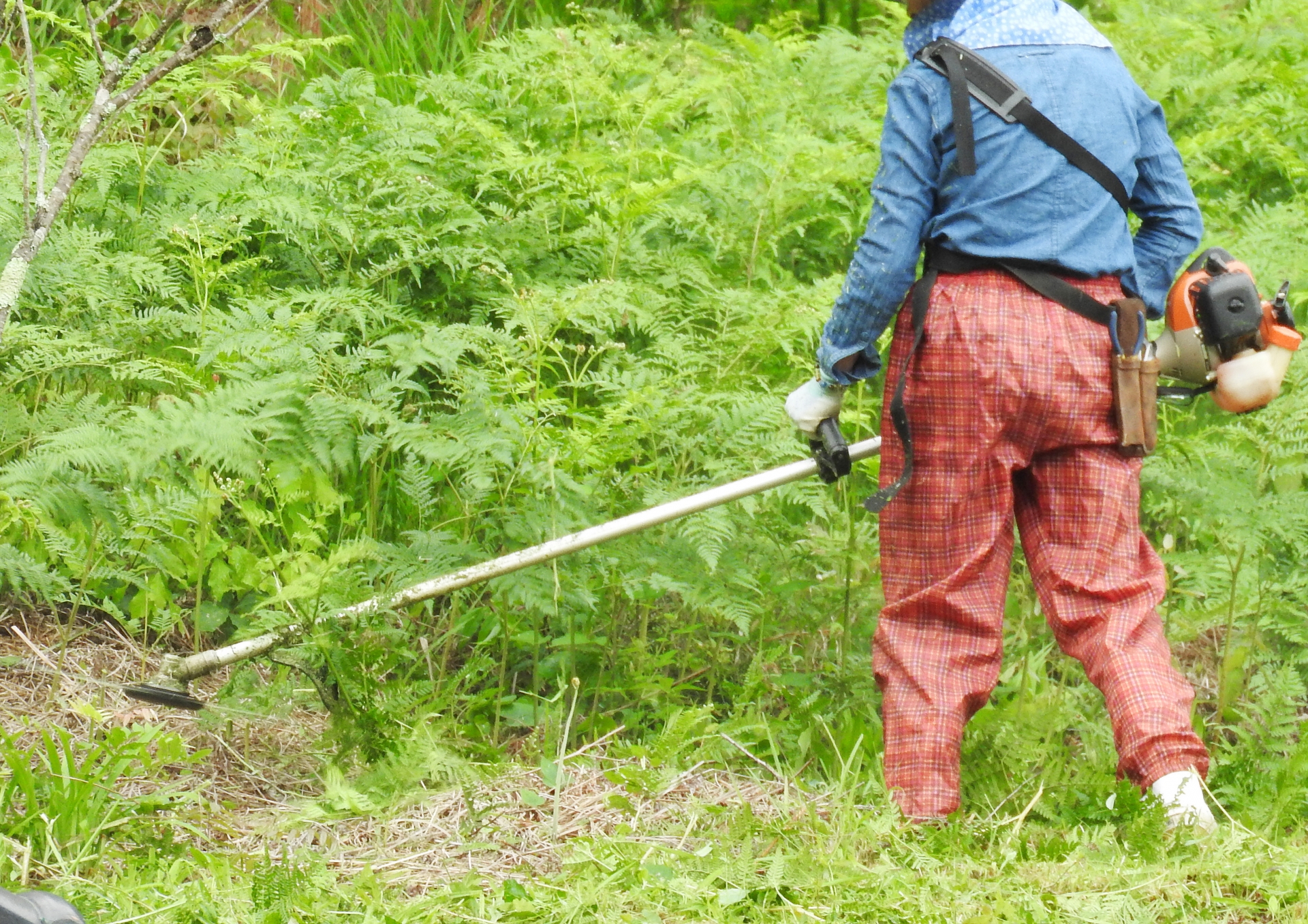 田舎暮らしのマストアイテム 初心者必見 草刈機の上手な選び方 前編 ニミログ 田舎暮らし 移住に関するwebマガジン