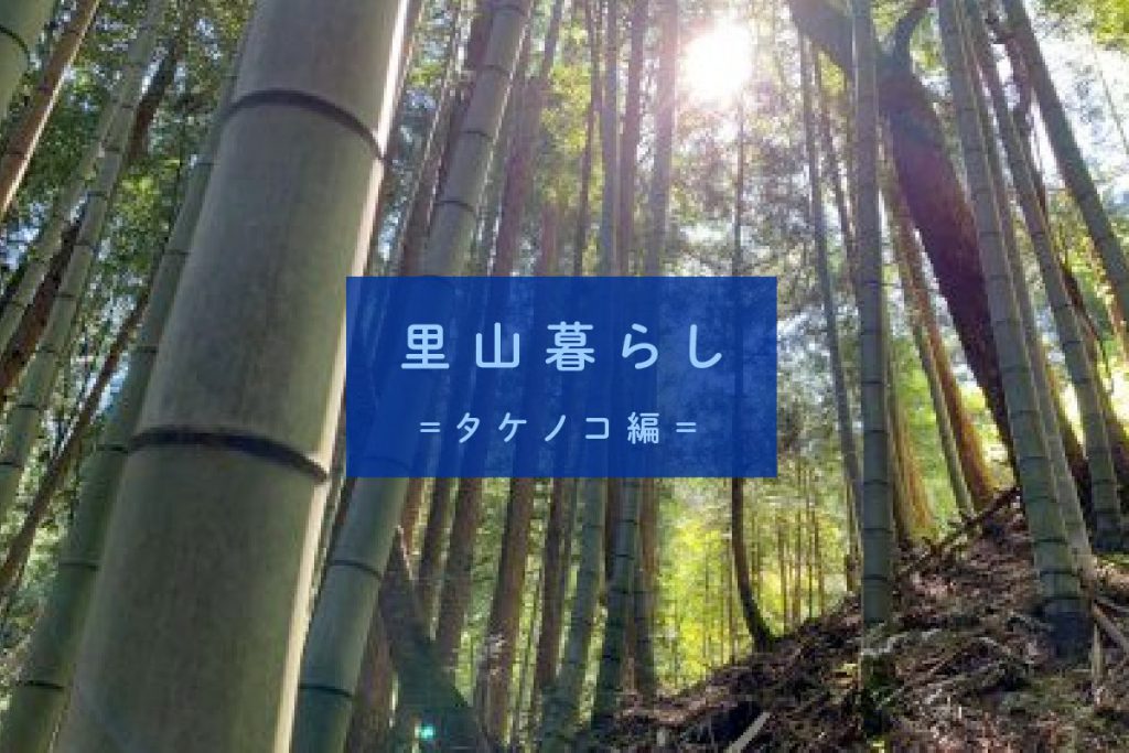 4ee1e17a828056869f2c7a3ec97df6