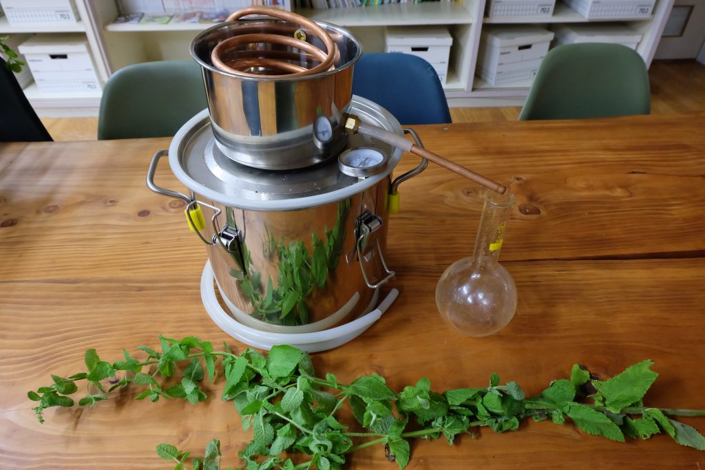 野草ハッカの芳香蒸留水作り | ニミログ｜田舎暮らし・移住に関するWEB