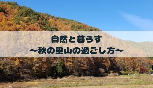 自然と暮らす〜秋の里山の過ごし方〜