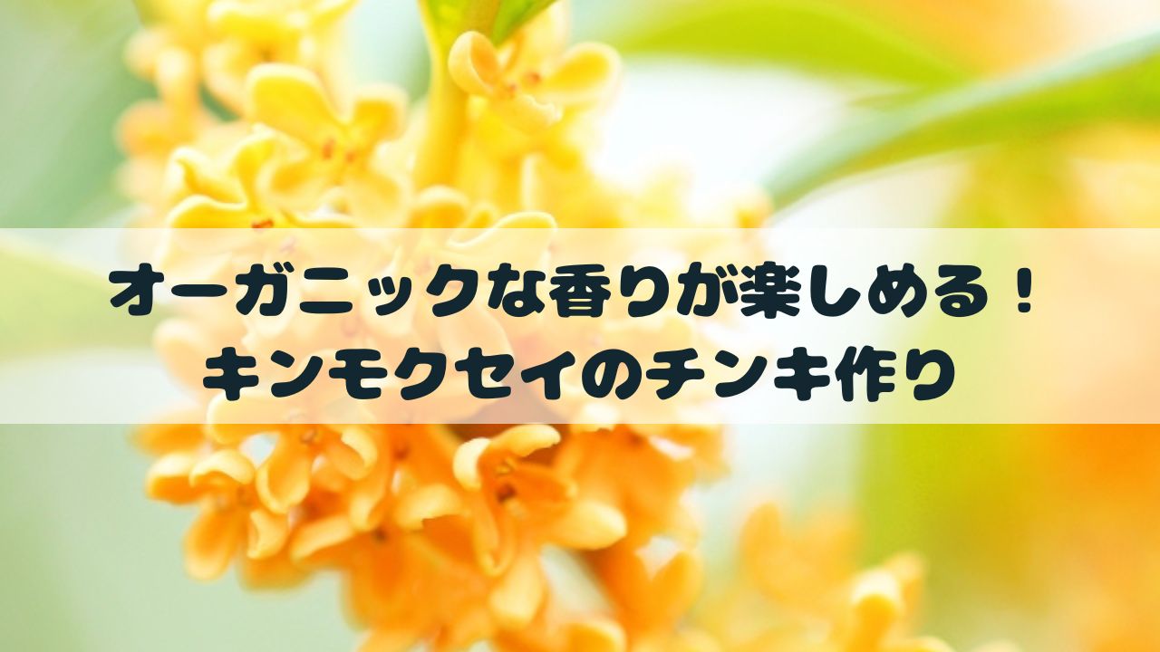 オーガニックな香りが楽しめる！キンモクセイのチンキ作り | ニミログ｜田舎暮らし・移住に関するWEBマガジン