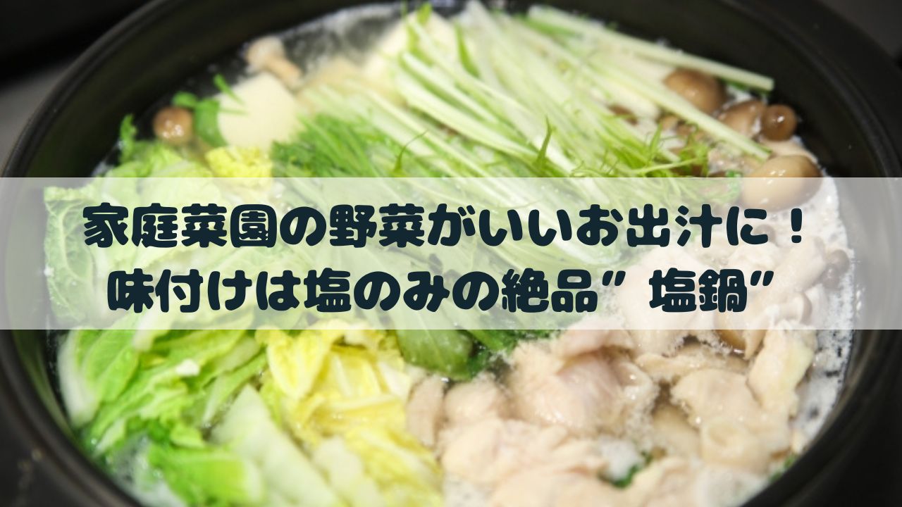 野菜 のみ 人気 鍋