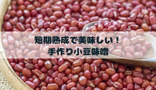 短期熟成で美味しい！手作り小豆味噌