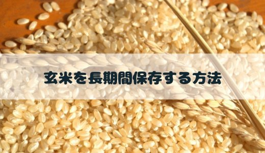 玄米を長期間保存する方法