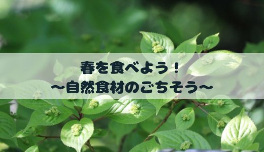 春を食べよう！〜自然食材のごちそう〜